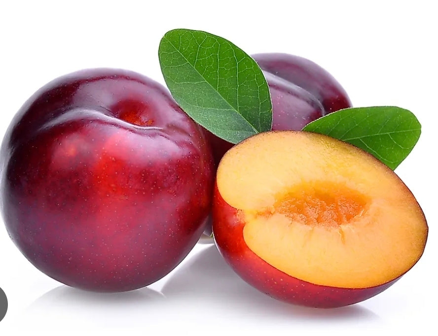 Freeze Dried Plums