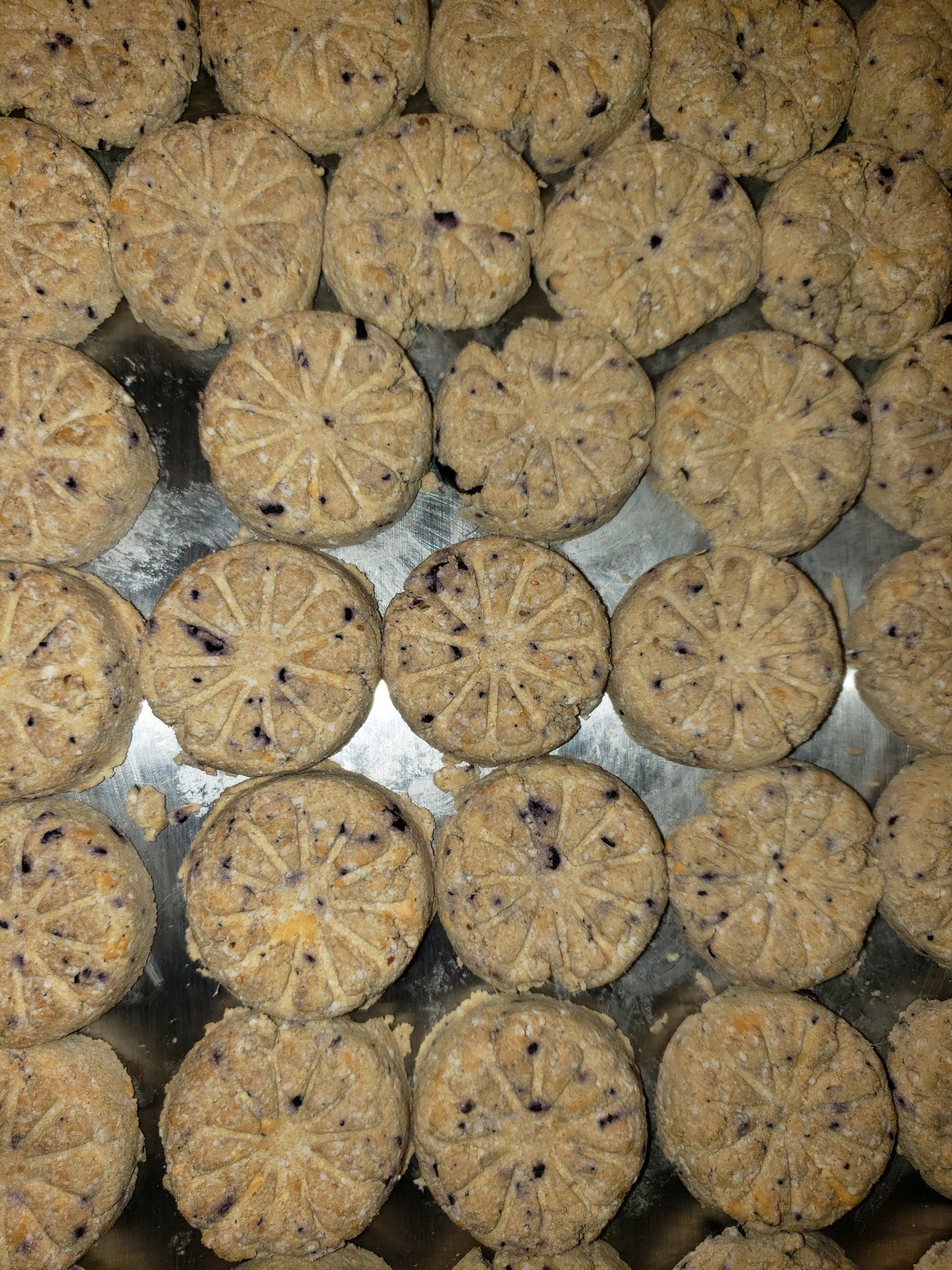 Freeze Dried Blueberry Treats™