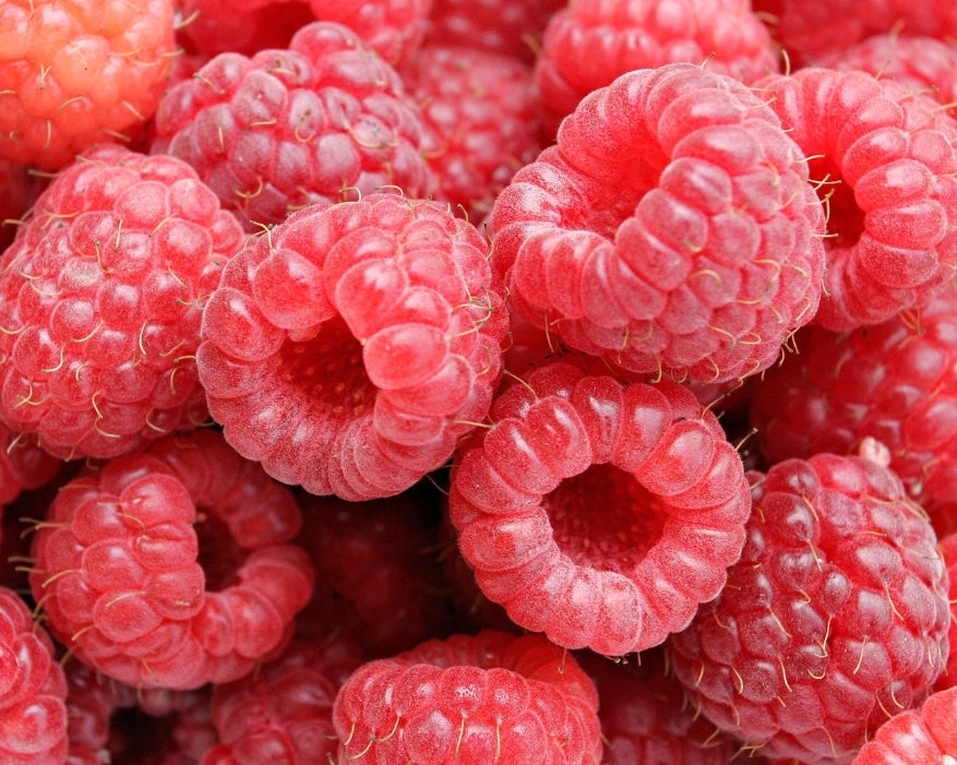 Freeze Dried Raspberries