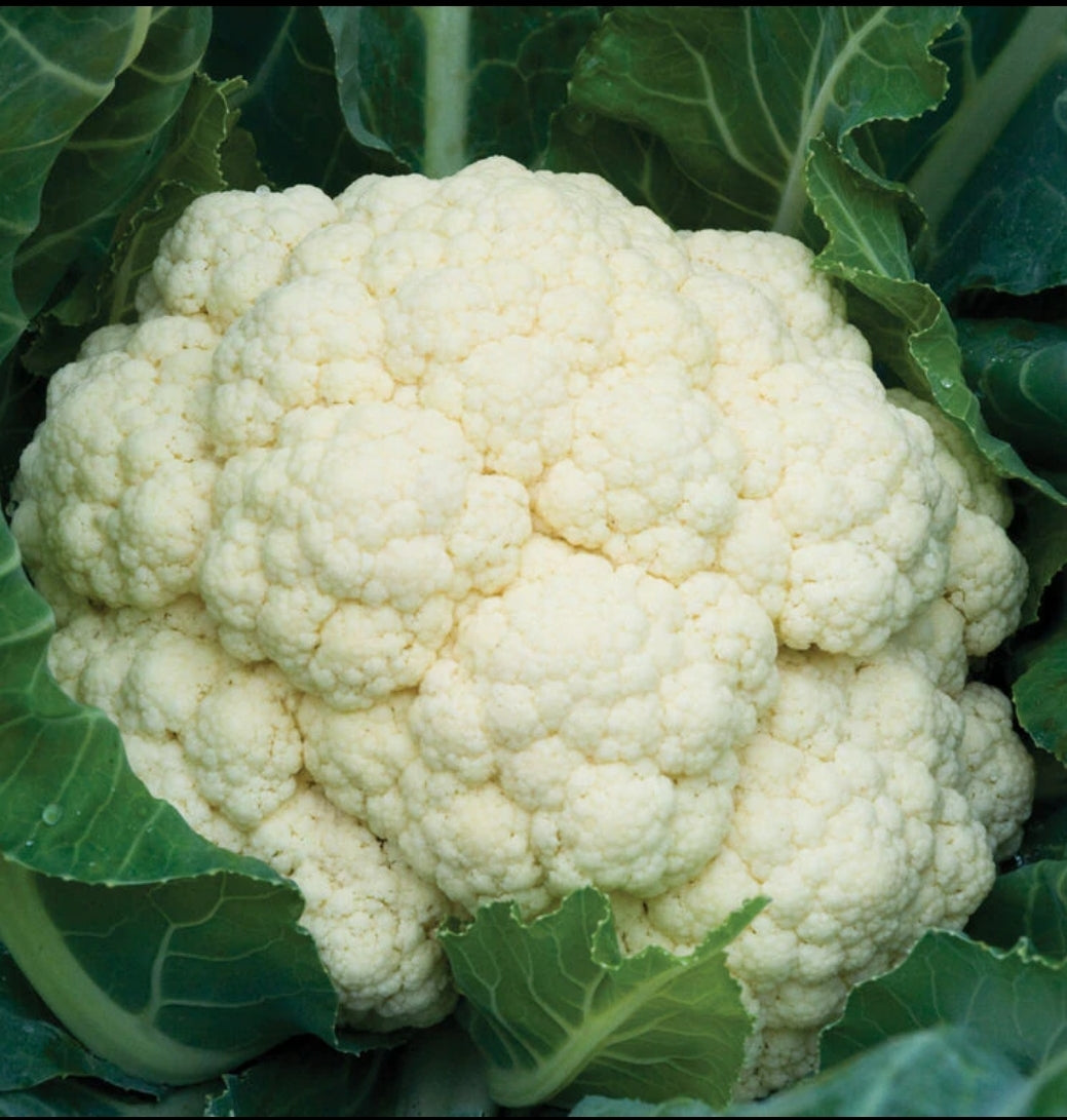 Freeze Dried Cauliflower