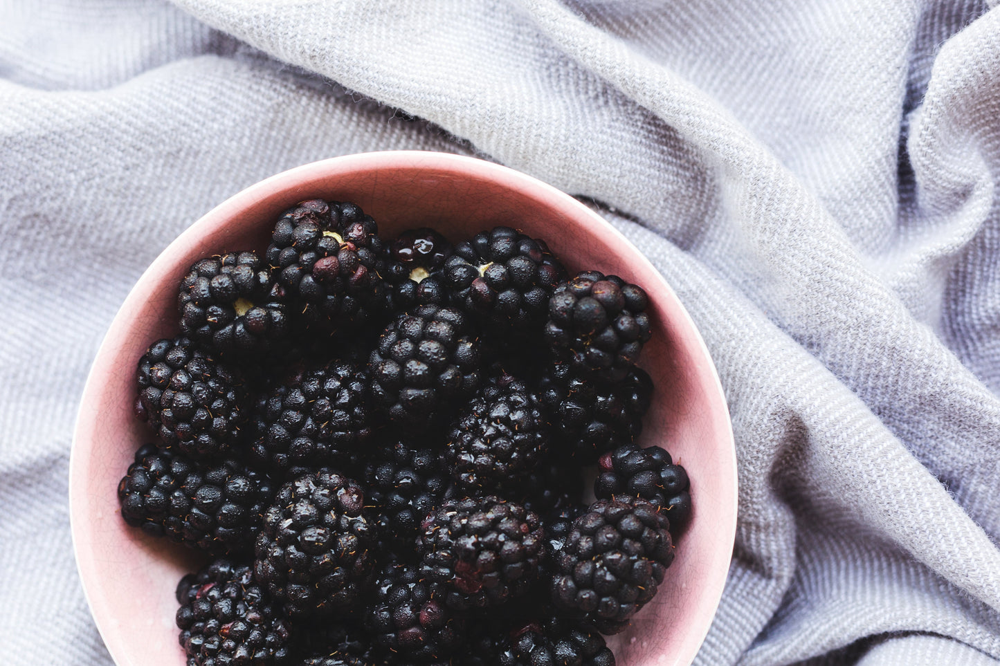 Freeze Dried Blackberries