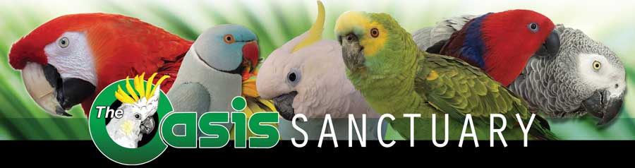 The Oasis Sanctuary