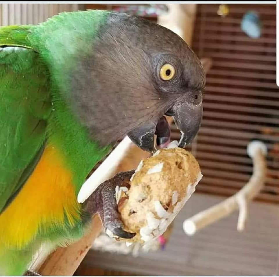 Treats