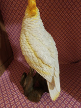 Sulpher Crested Cockatoo Figurine