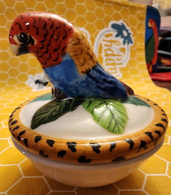 Macaw Trinket Box