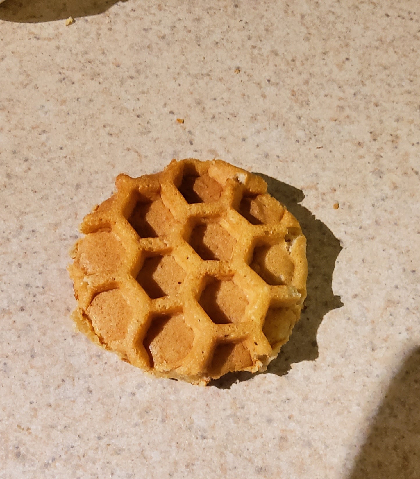 Freeze Dried  Waffles