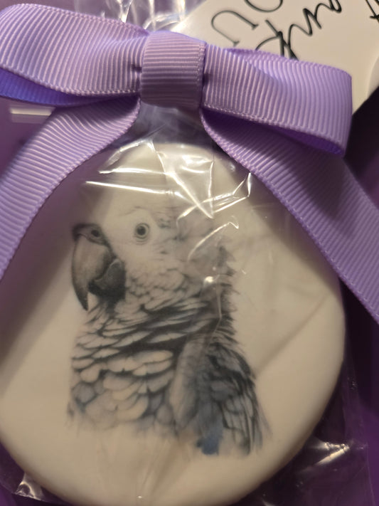 Sugar Cookies African Gray