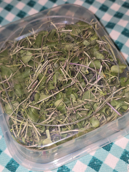 Freeze Dried Microgreens