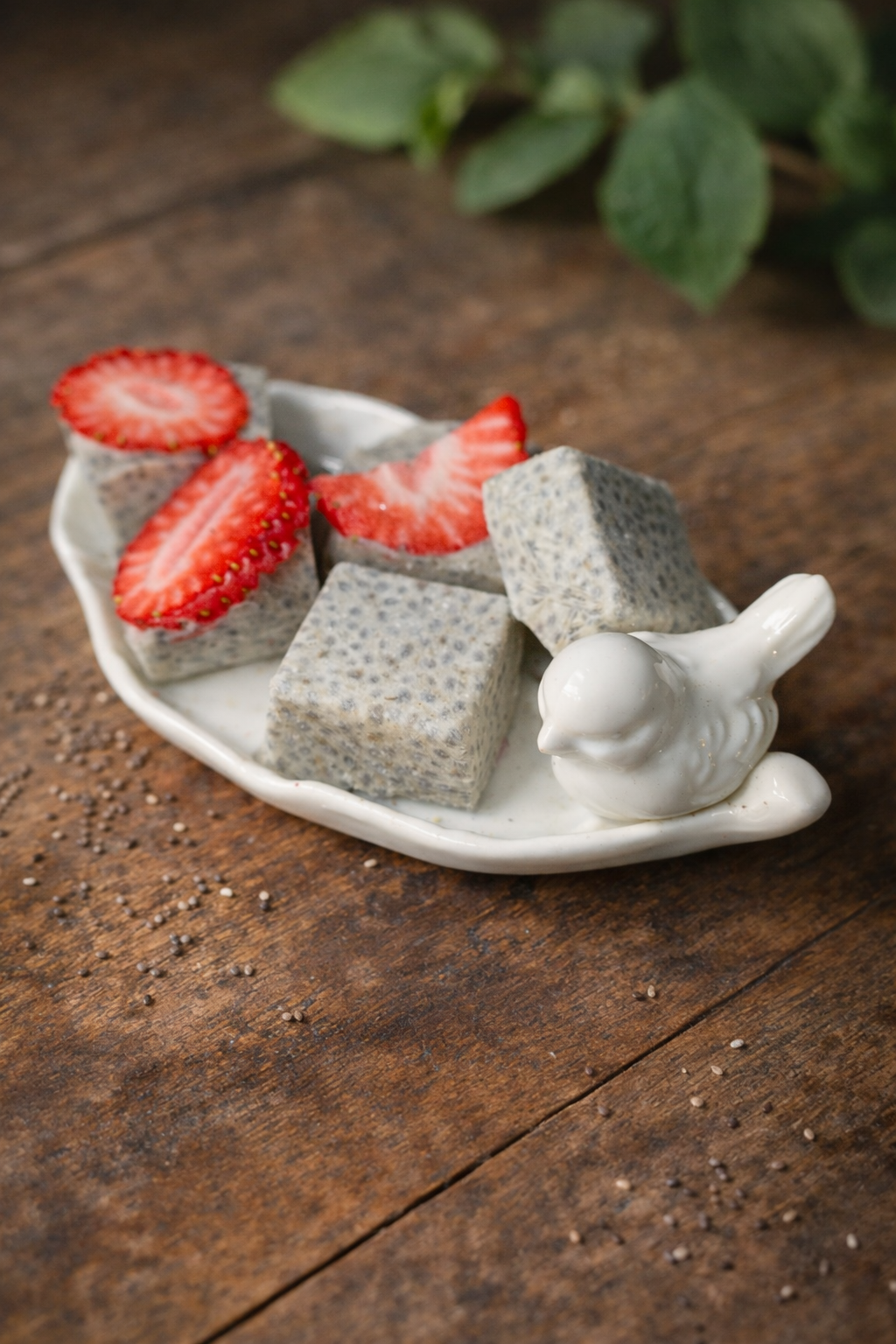 Freeze Dried Chia Pudding Bites