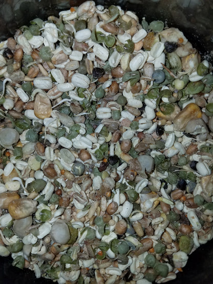Freeze Dried Sprouts