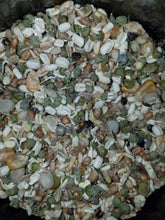 Freeze Dried Sprouts