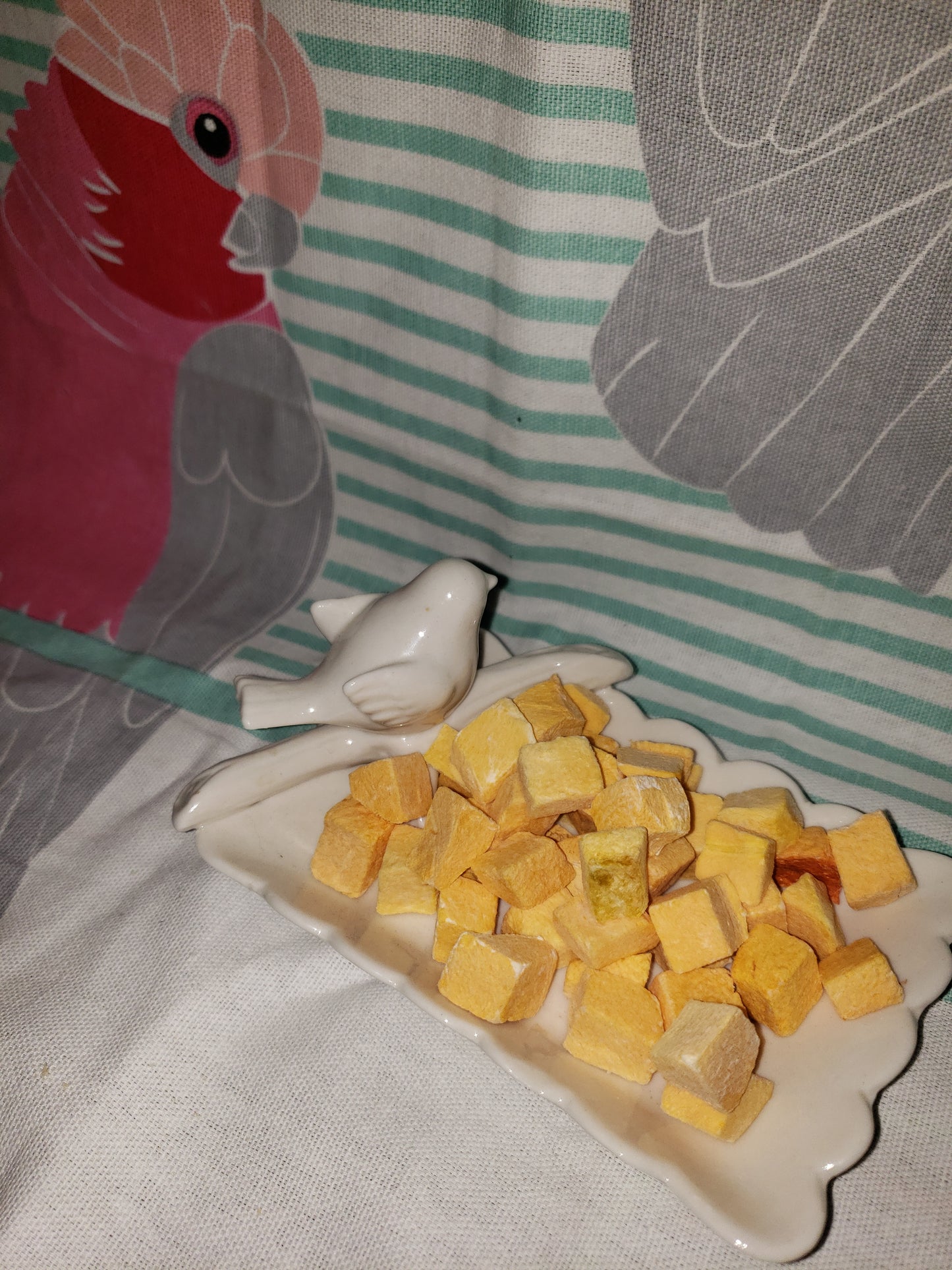 Freeze Dried Butternut Squash