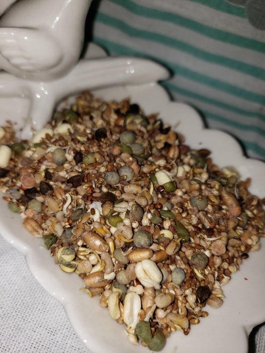 Freeze Dried Micrograin Sprouts