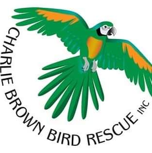 Charlie Brown Bird Rescue