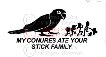 Window Decals