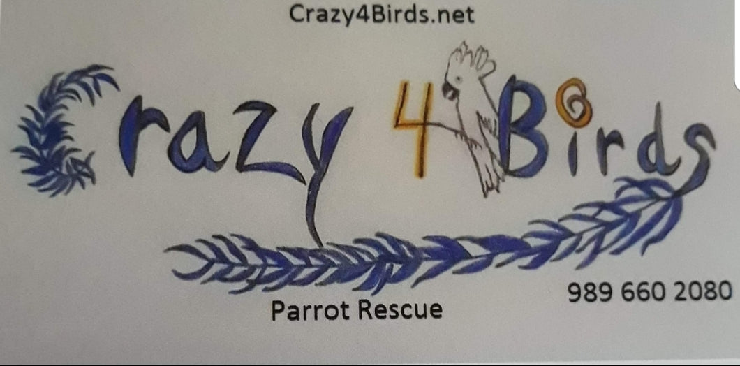 Crazy 4 Birds Rescue
