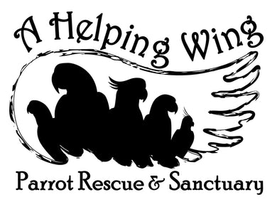 A Helping Wing Parrot Rescue