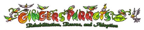 Ginger's Parrot Rescue