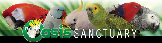 The Oasis Sanctuary