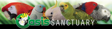The Oasis Sanctuary