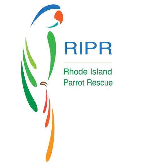 Rhode Island Parrot Rescue