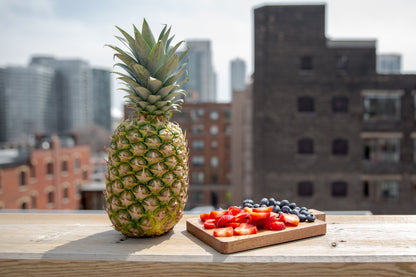 Freeze Dried Tropical Fruit Blend™