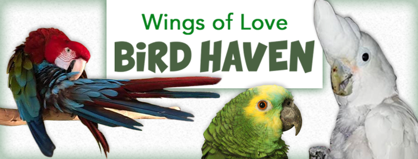 Wings of Love Bird Haven